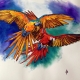 Macaws - 2D drawing